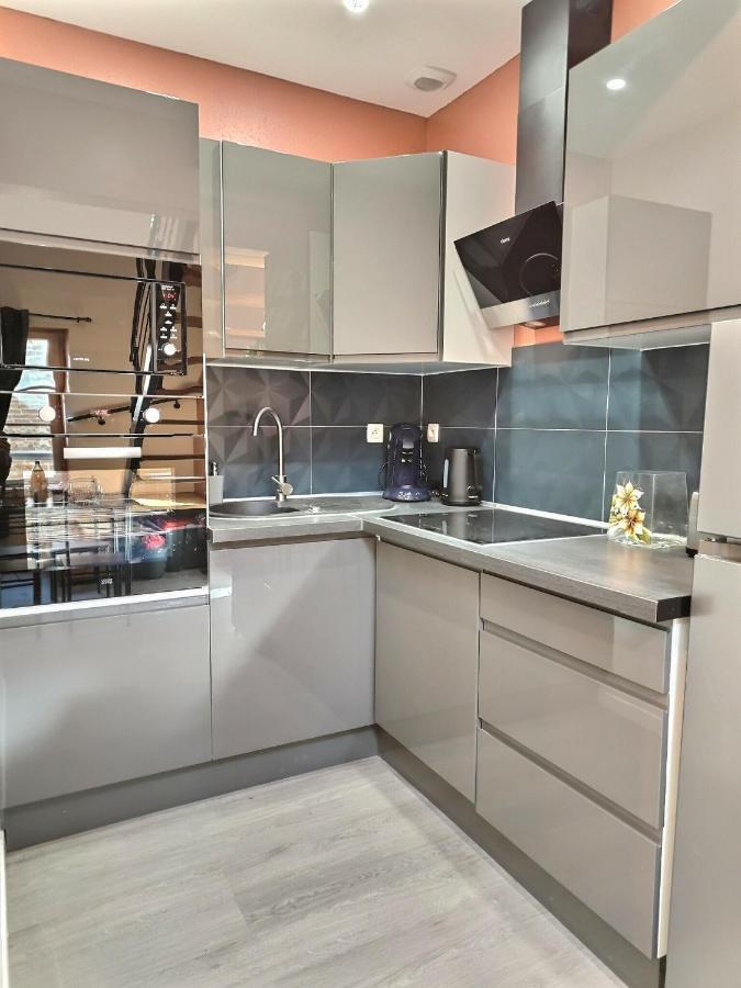 Le Coquelicot - Hyper-Centre - Wifi - Calme Apartment Albi Ngoại thất bức ảnh